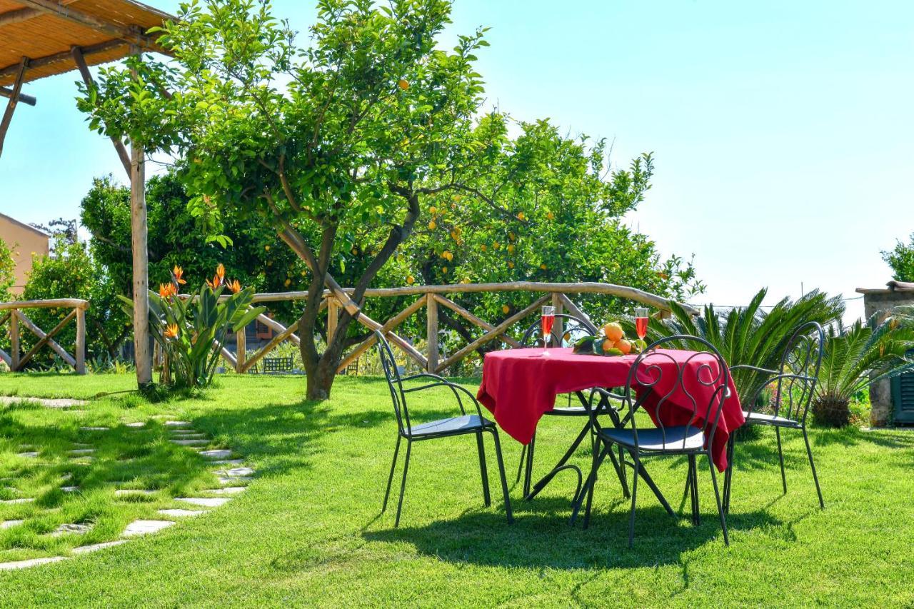 La Ciucciara Holiday Homes Massa Lubrense Exterior foto